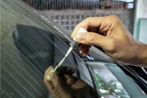 Windshield chip inspection