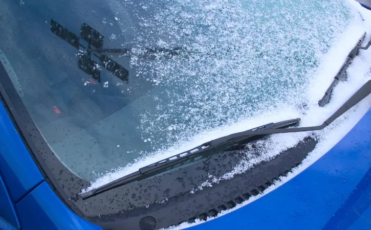 Weather and windshield damage